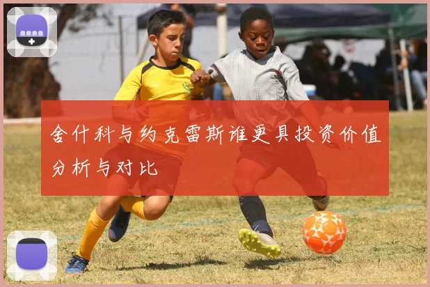 舍什科与约克雷斯谁更具投资价值分析与对比